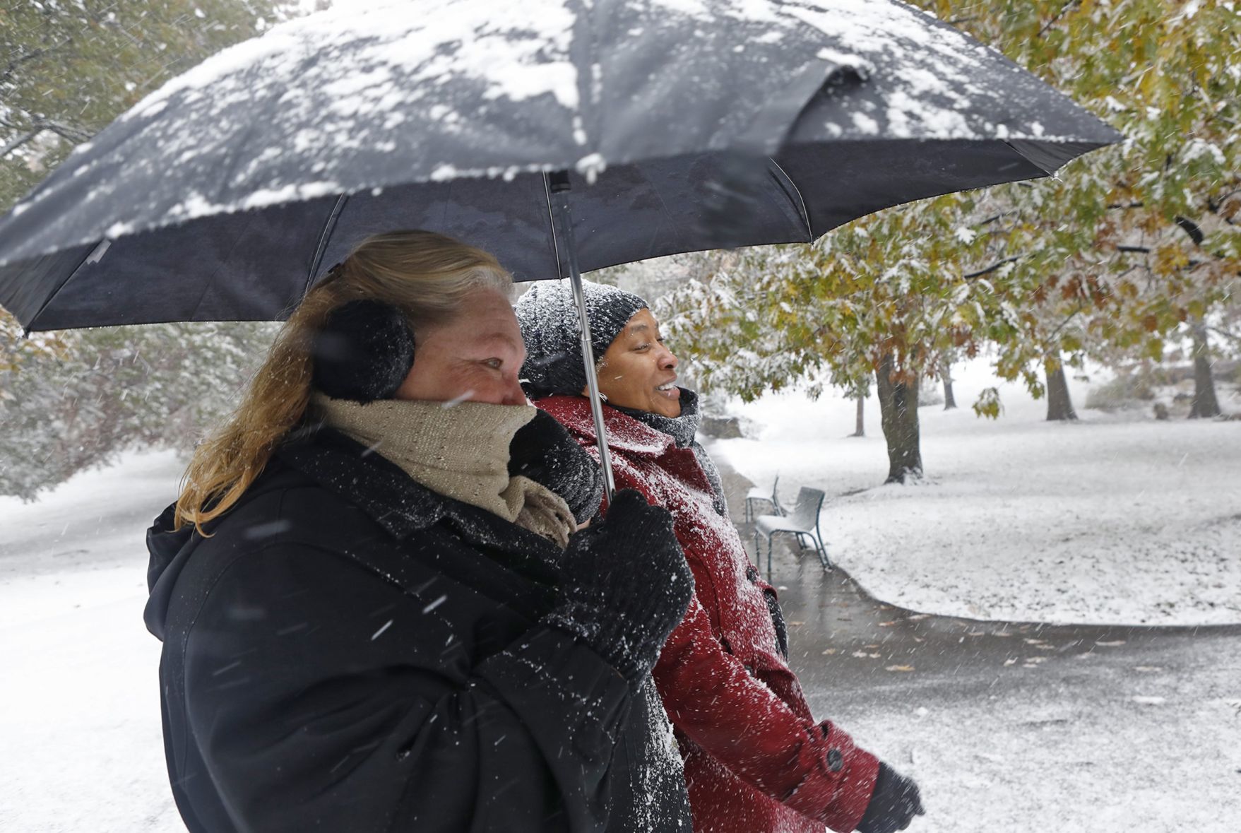 First snow covers the Zoo